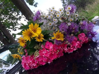 Freshly Picked Assorted Wildflower Bouquet - Vibrant Mix of Yellow, Purple, Pink, & White Flowers