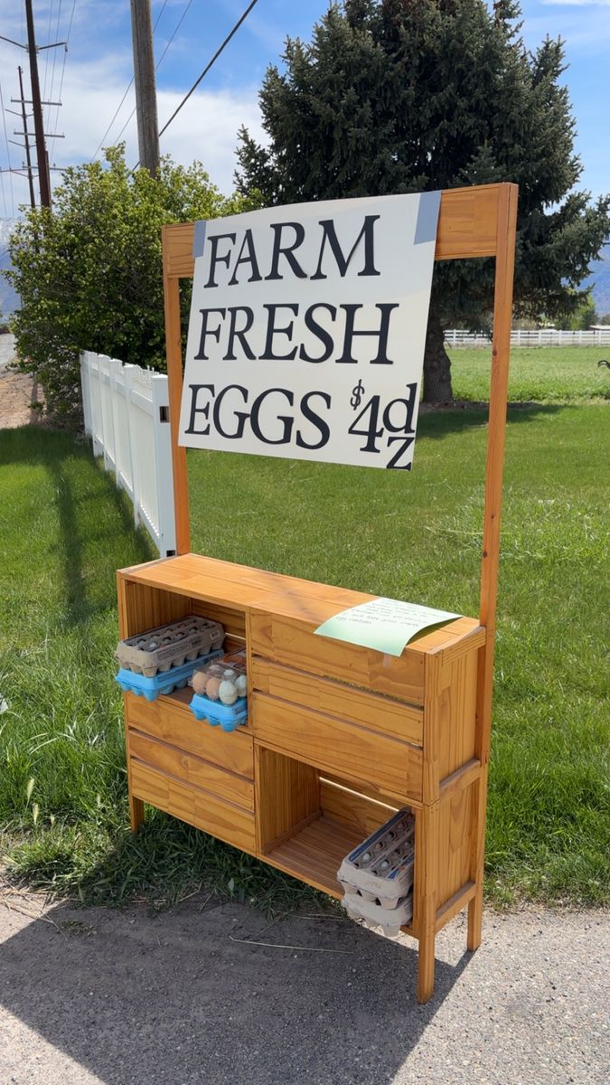 Eggs