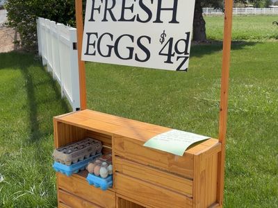 Eggs