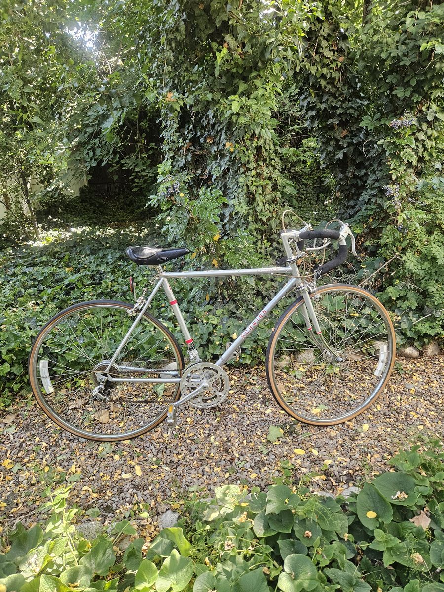 Vintage Schwinn le tour bicycle