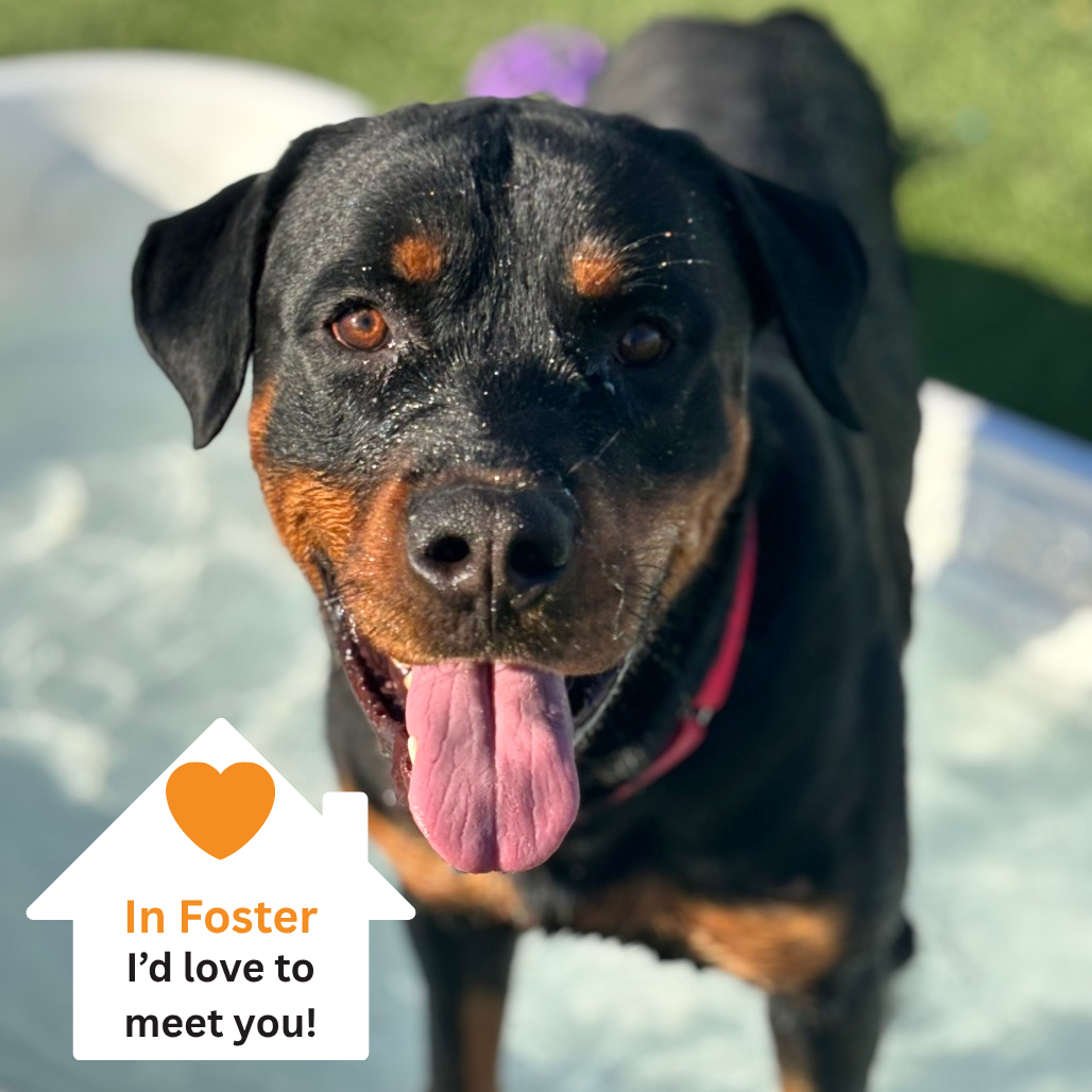 Hello my name is Ferguson