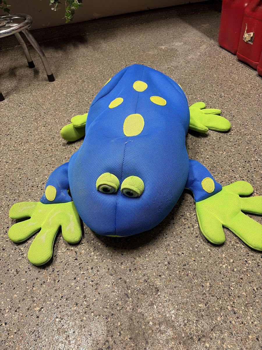 Pool toy frog