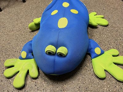 Pool toy frog