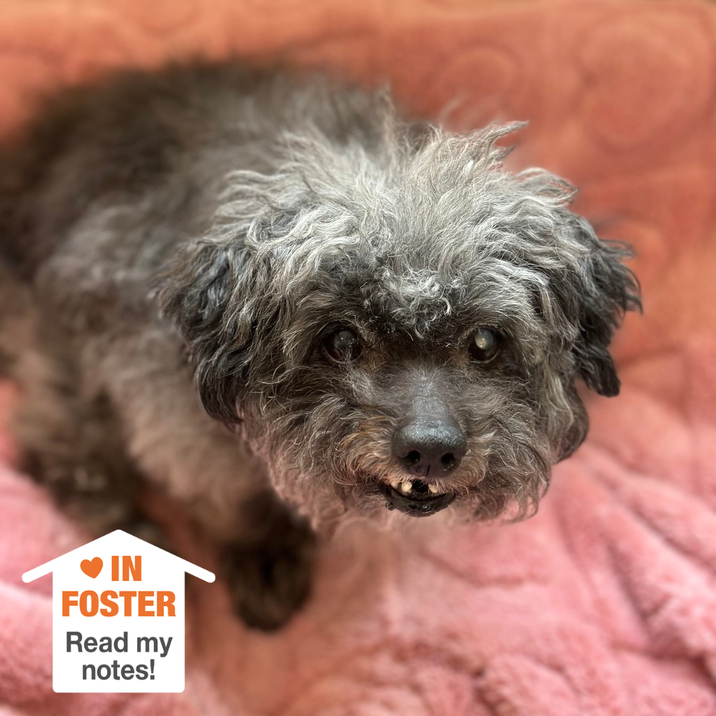 Hello my name is Sassy