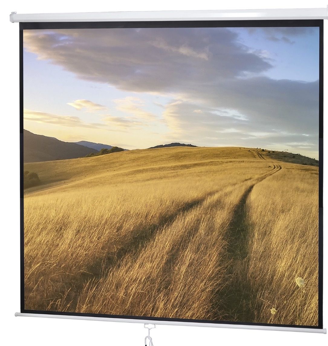 NIB 119" Manual Pull-Down Projector Screen - 1:1 Gain, 160° Viewing Angle, Wall/Ceiling Mount
