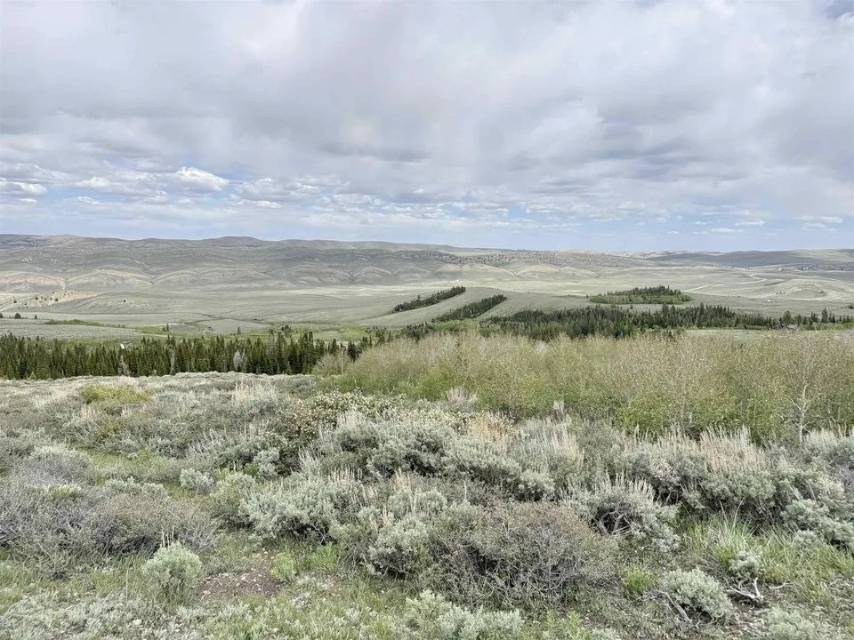 Main image 16