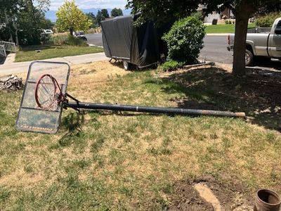 Free great working adjustable basketball standard