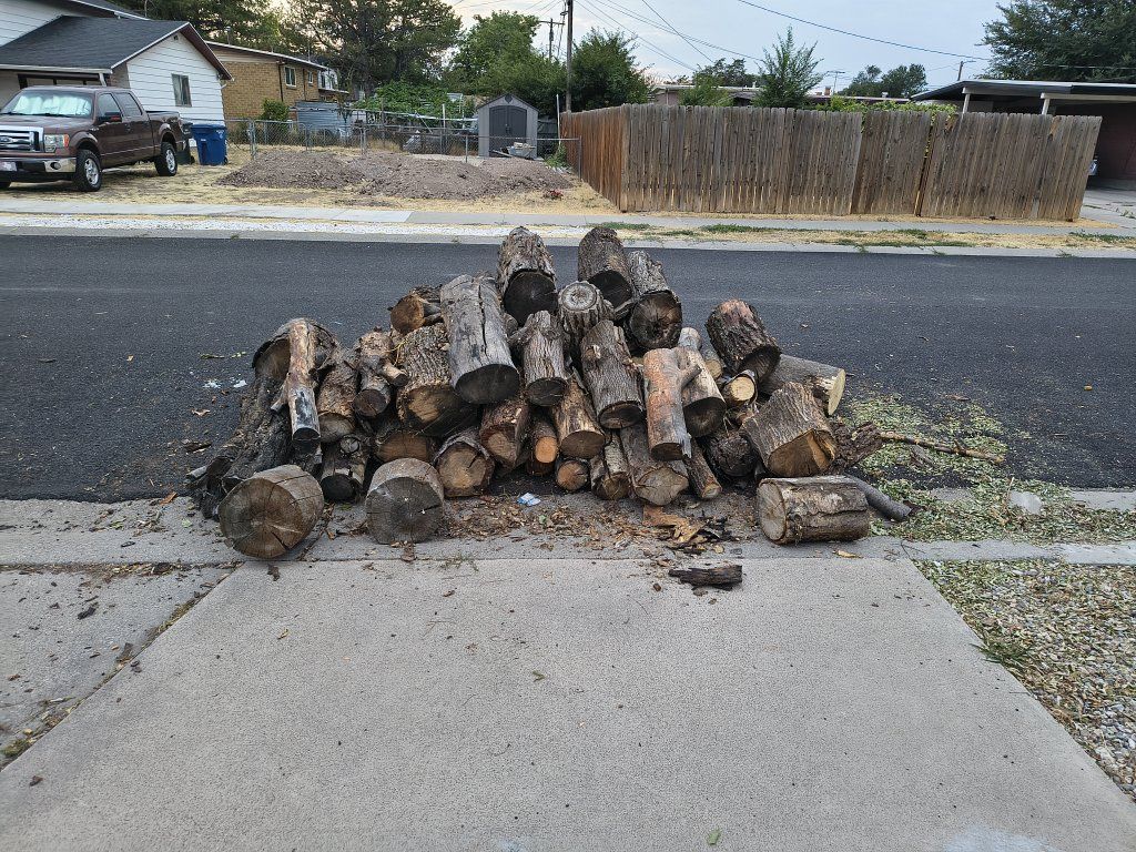 Seasoned Firewood Log Pile - Mixed Hardwood for Burning/Crafts, Approx. 1 Cord
