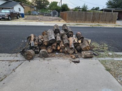 Seasoned Firewood Log Pile - Mixed Hardwood for Burning/Crafts, Approx. 1 Cord