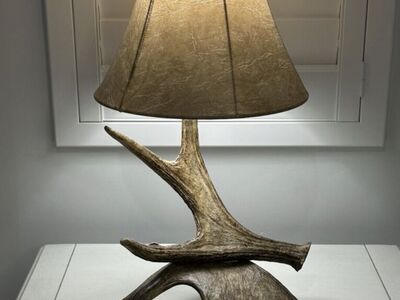 Real Antler Lamps
