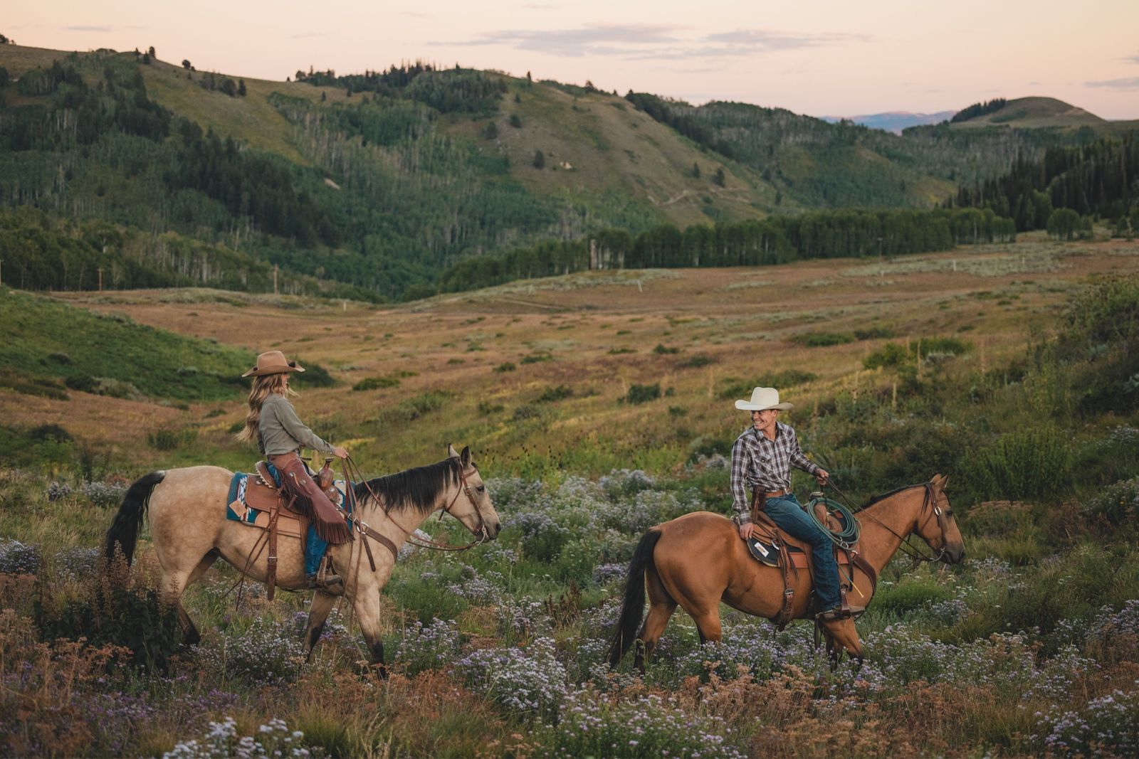 Horse(s) For Lease