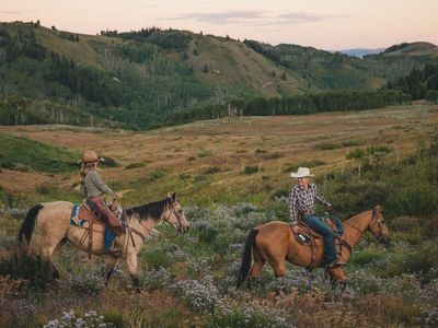Horse(s) For Lease