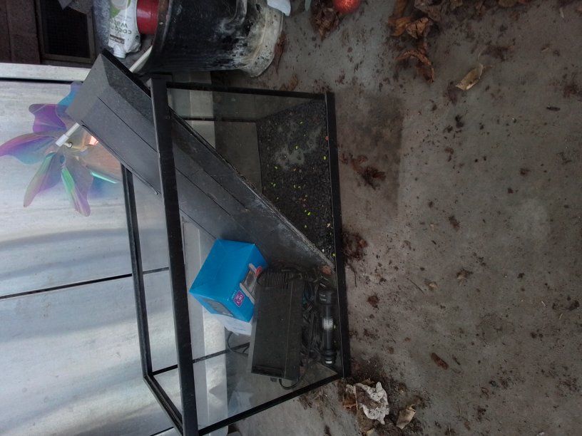 aquarium