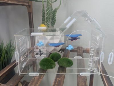 Jumping spider enclosure, jumping spider terrarium, spider house. No spider