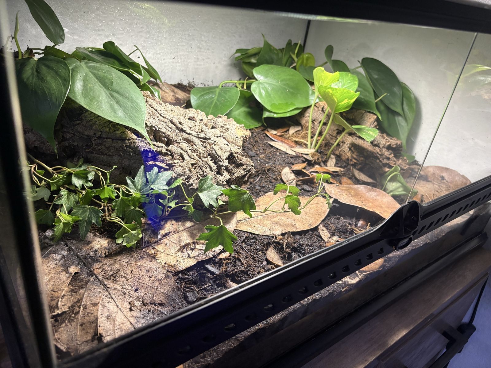 Terrarium trade