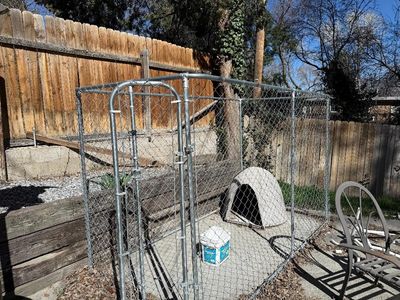 Dog enclosure outdoor with igloo