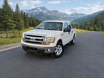 2014 FORD F150 XLT