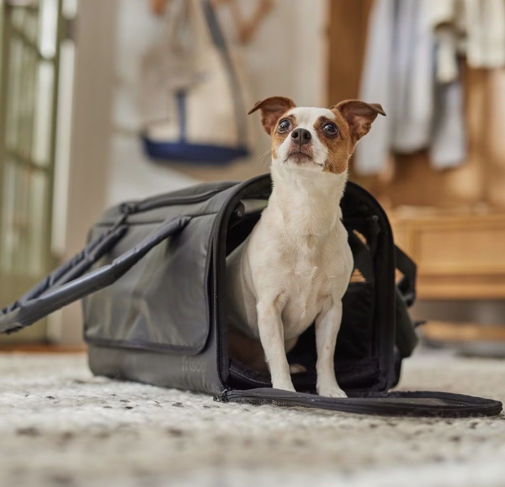 Frisco Travel Pet Carrier, Soft-Sided, Black, 18.1" L x 9.4" W x 11" H