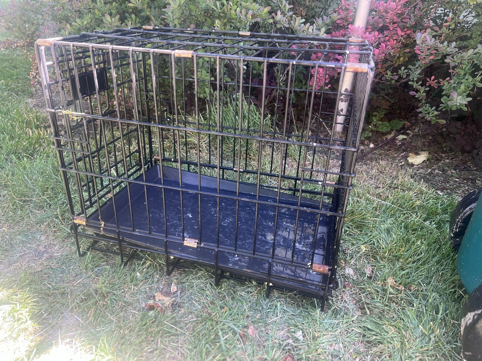 Small Dog Kennel