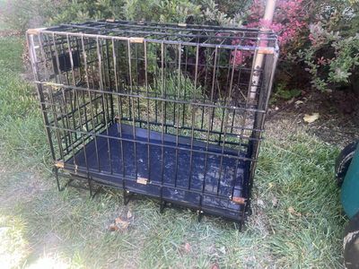 Small Dog Kennel
