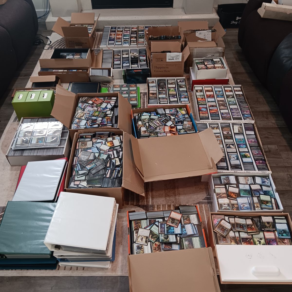 MTG CACHE