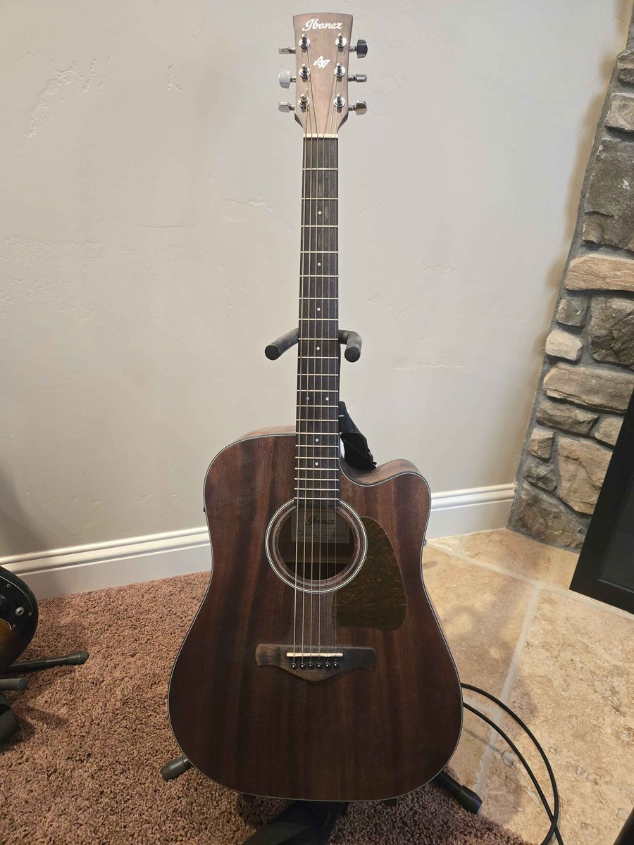 Ibanez Acoustic Guitar