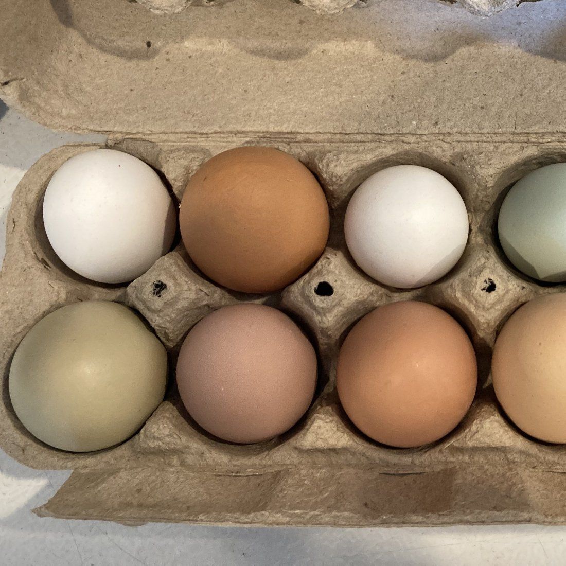 fresh eggs