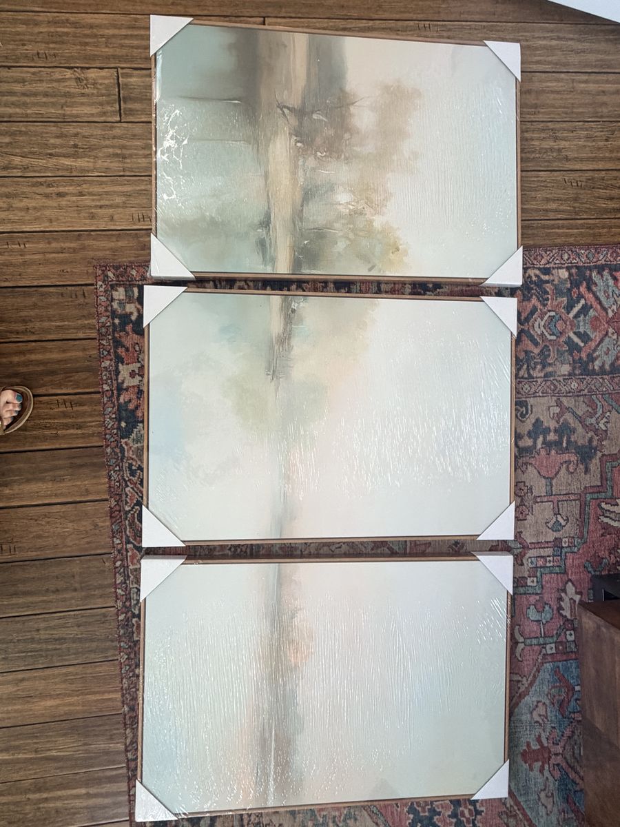 Brand new set of 3 Framed art 36x24 each piece