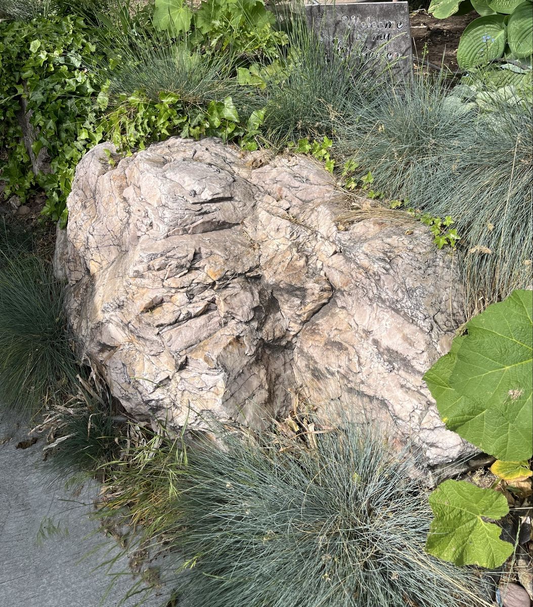 Main image 6