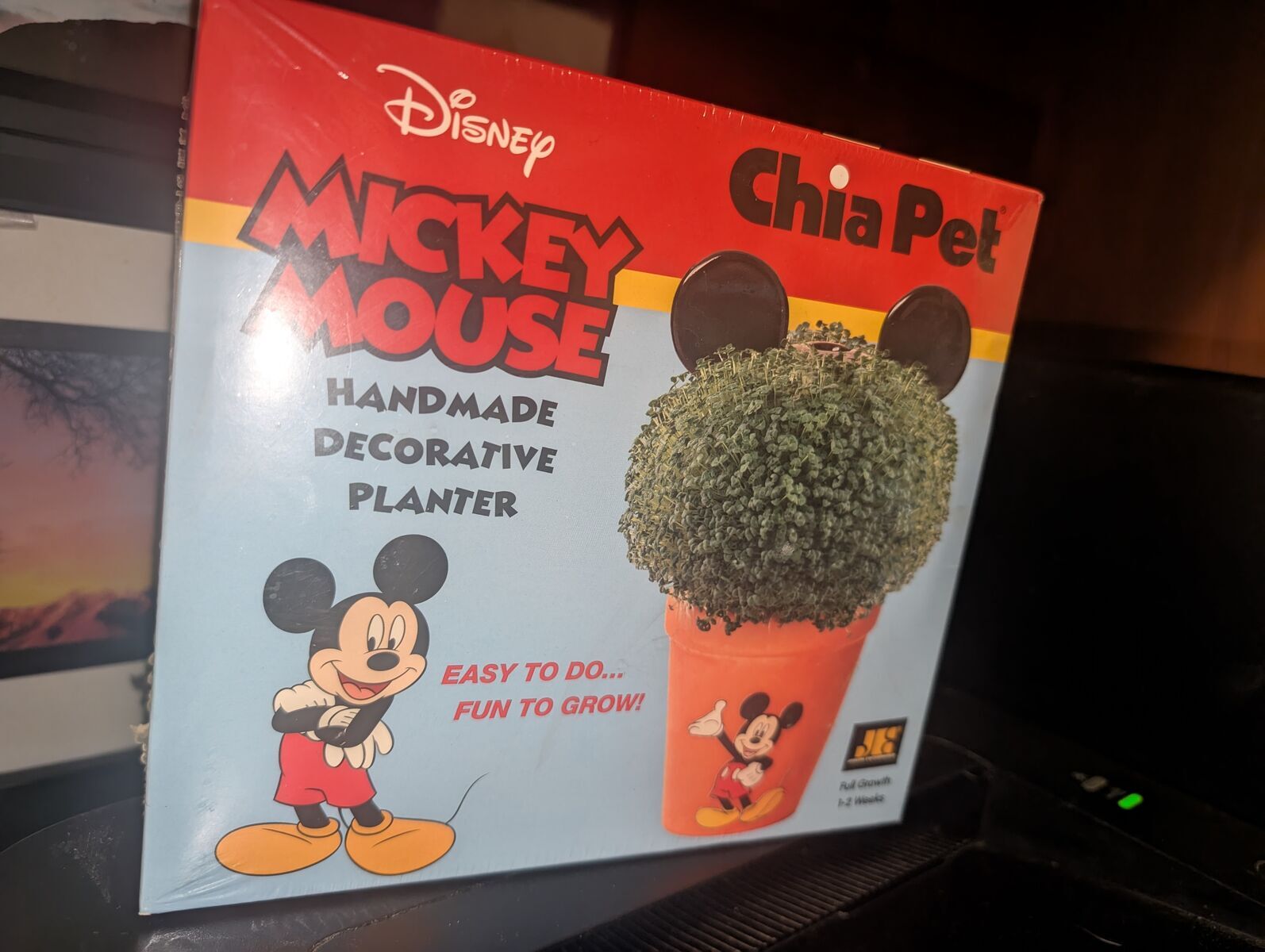2014 Disney Mickey Mouse Chia Pet Decorative Pottery Planter New Sealed