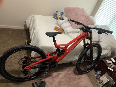 Santa Cruz v10 L