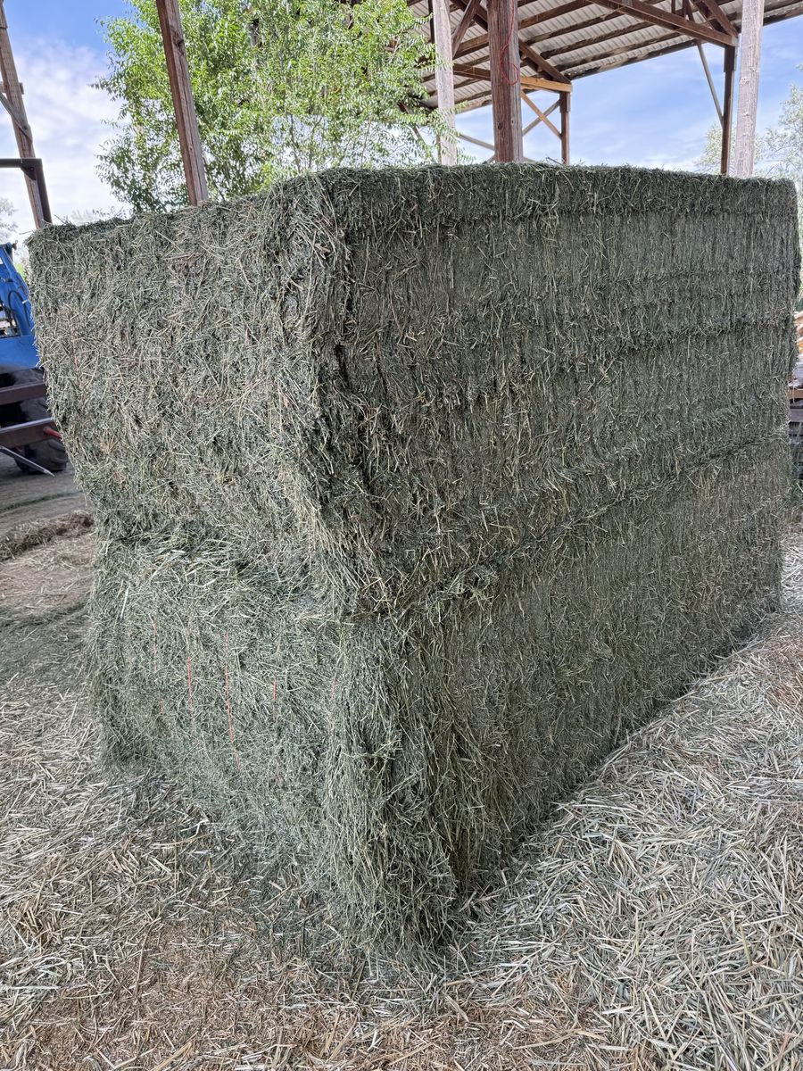 3x4 Solid 2nd Crop Hay