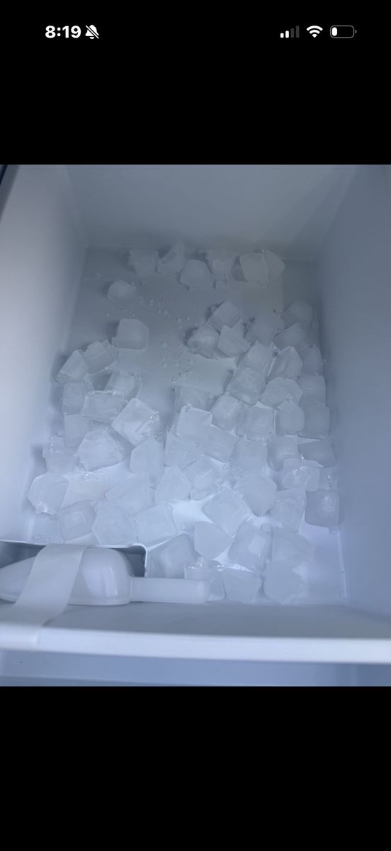 Main image 5
