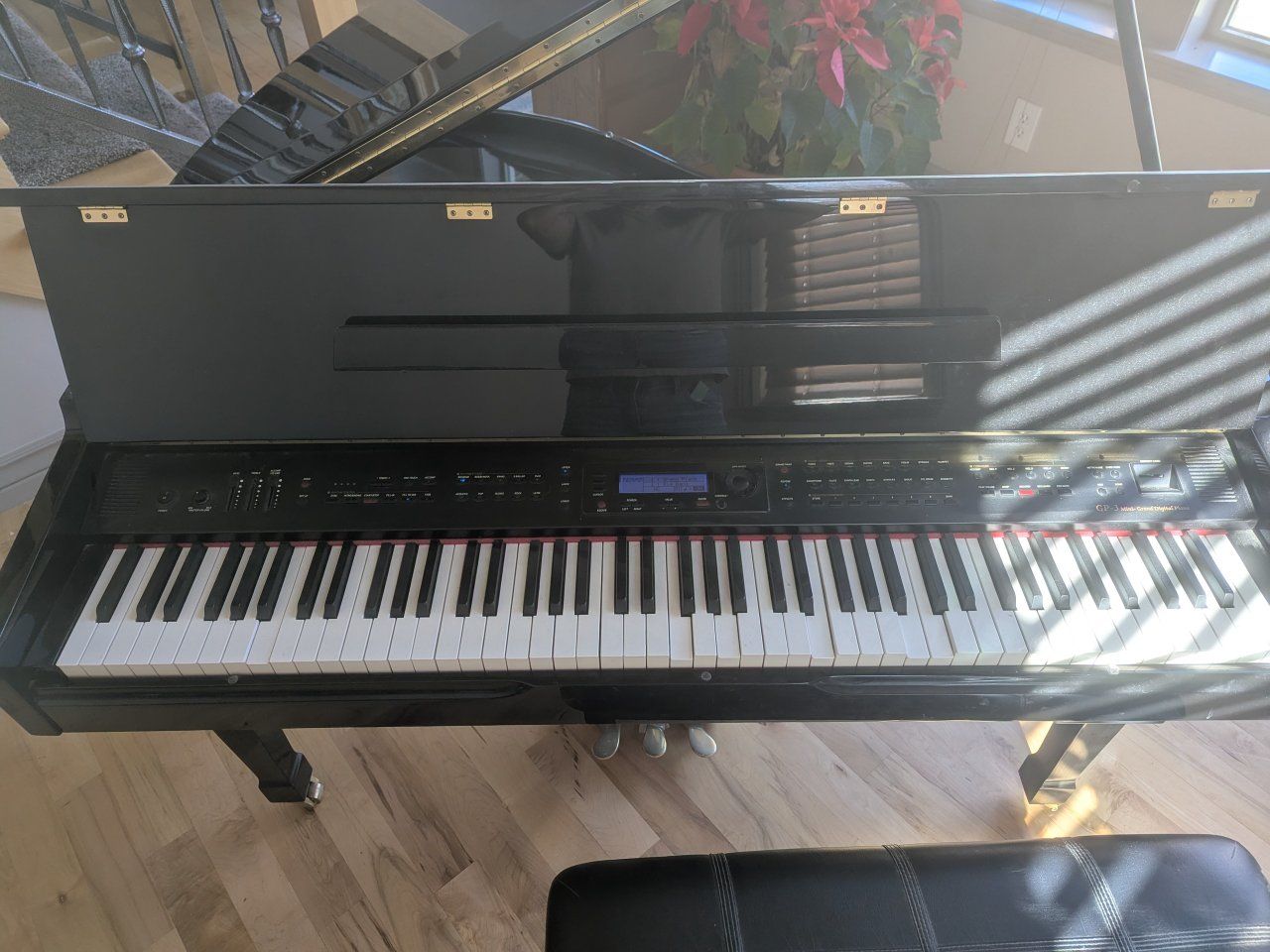 Digital Mini Baby Grand *sticky keys