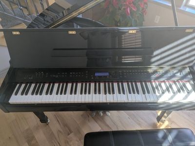 Digital Mini Baby Grand *sticky keys