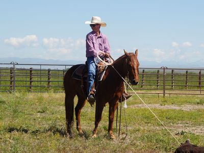 4 year old Red Roan Gelding “Rio”