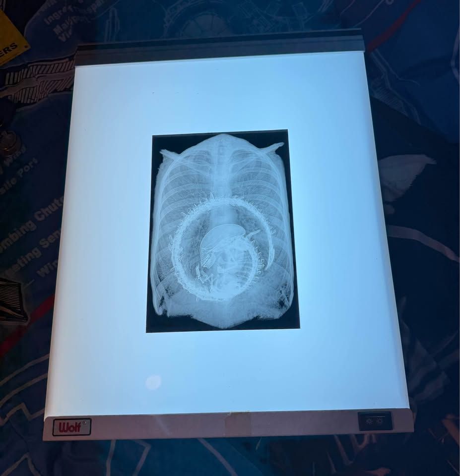 Main image 3