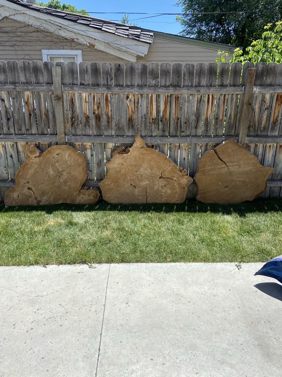 Box Elder Wood Slabs