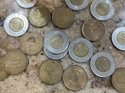Canadian Coins $400 Worth For $280/0ffer
