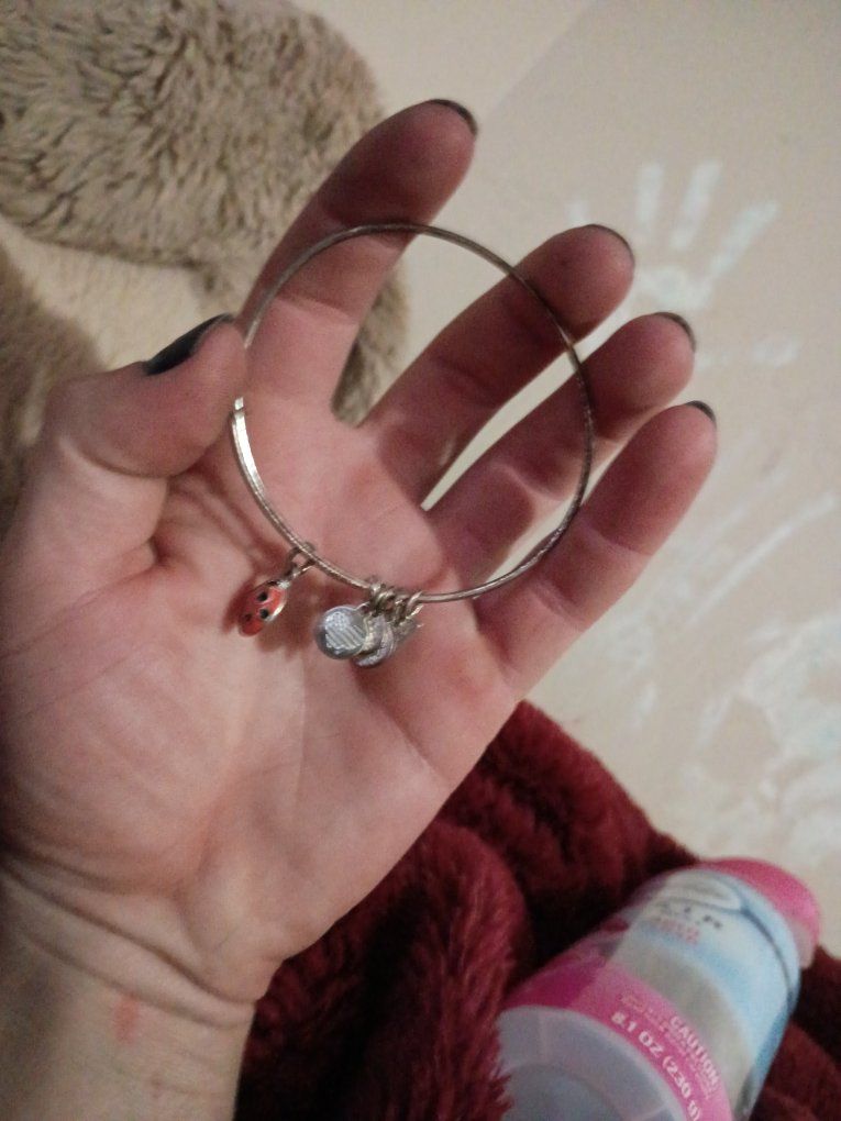 Alex and Ani Silver-tone Bangle Bracelet with Ladybug & Charm