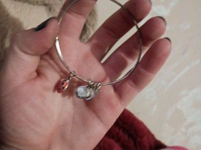 Alex and Ani Silver-tone Bangle Bracelet with Ladybug & Charm