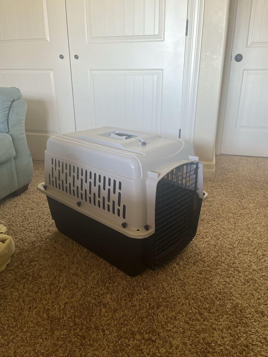 Durable Plastic Pet Carrier for Small/Medium Dogs - Black & Tan Travel Crate