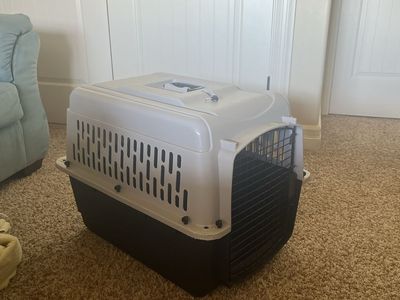 Durable Plastic Pet Carrier for Small/Medium Dogs - Black & Tan Travel Crate