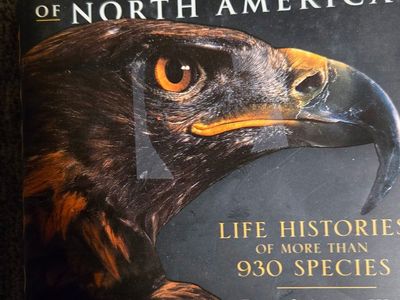 birds of north america book