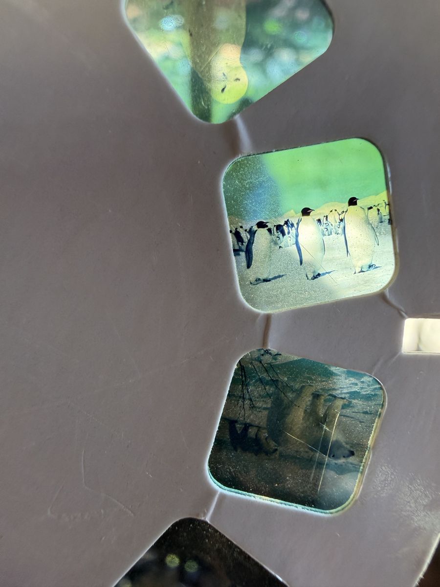 Main image 7