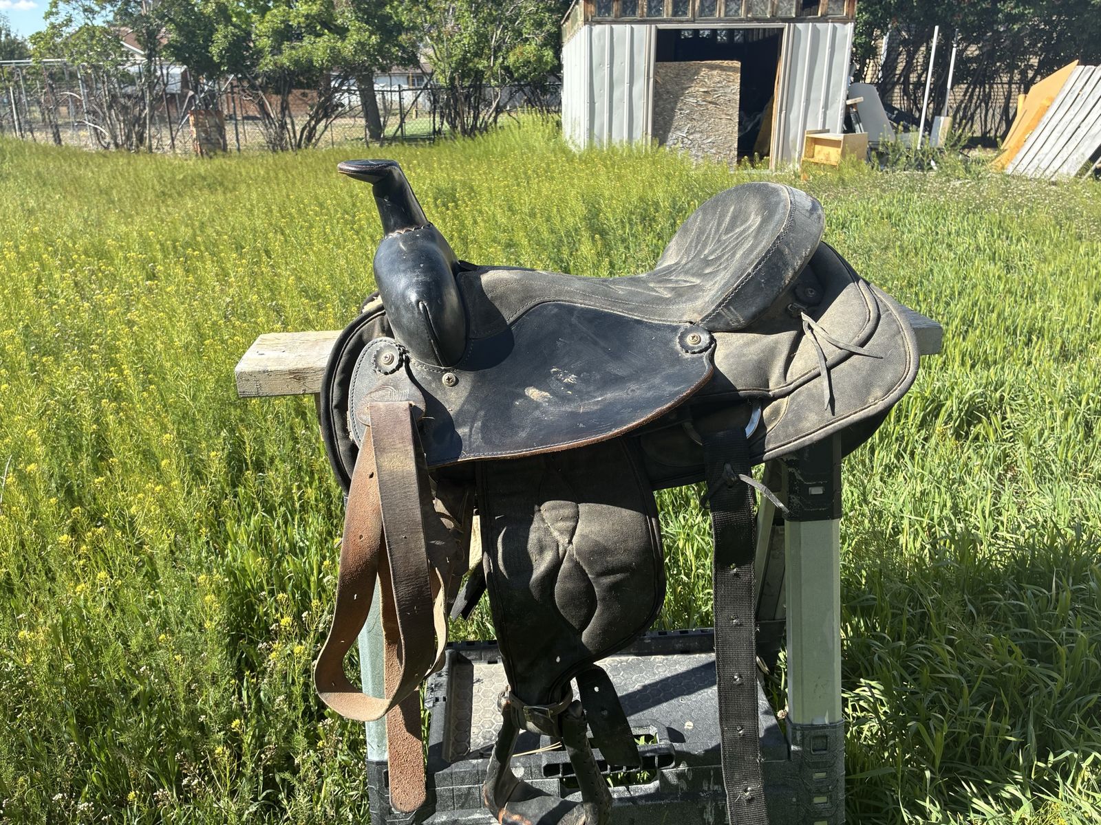 Western Saddle