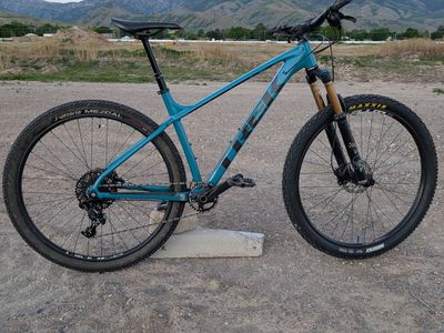 2020 Upgraded Trek Hardtail (Large)