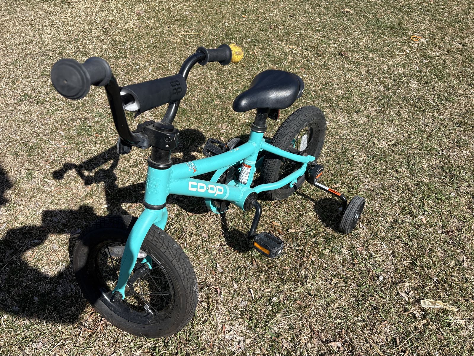 Kids 12 Bike. REI co-op Rev 12