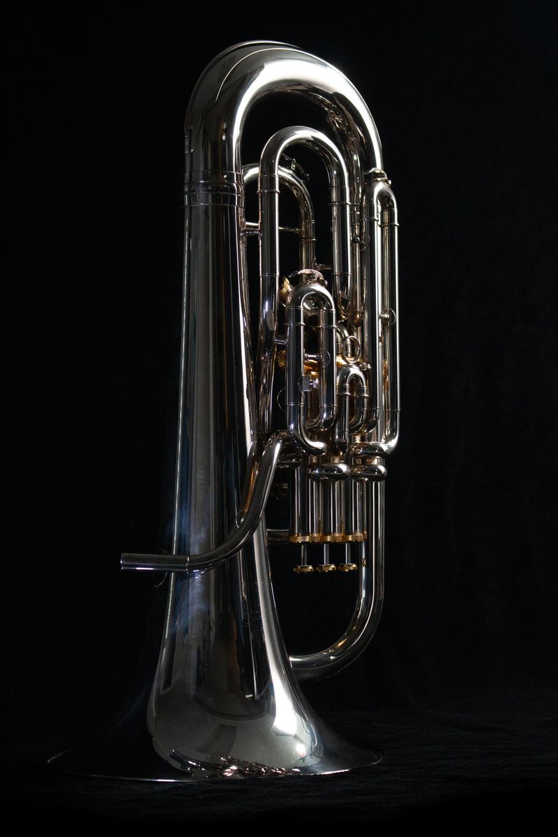 Euphonium - Wessex Dolce - Mint Condition ($1275)