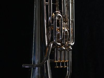 Euphonium - Wessex Dolce - Mint Condition ($1275)